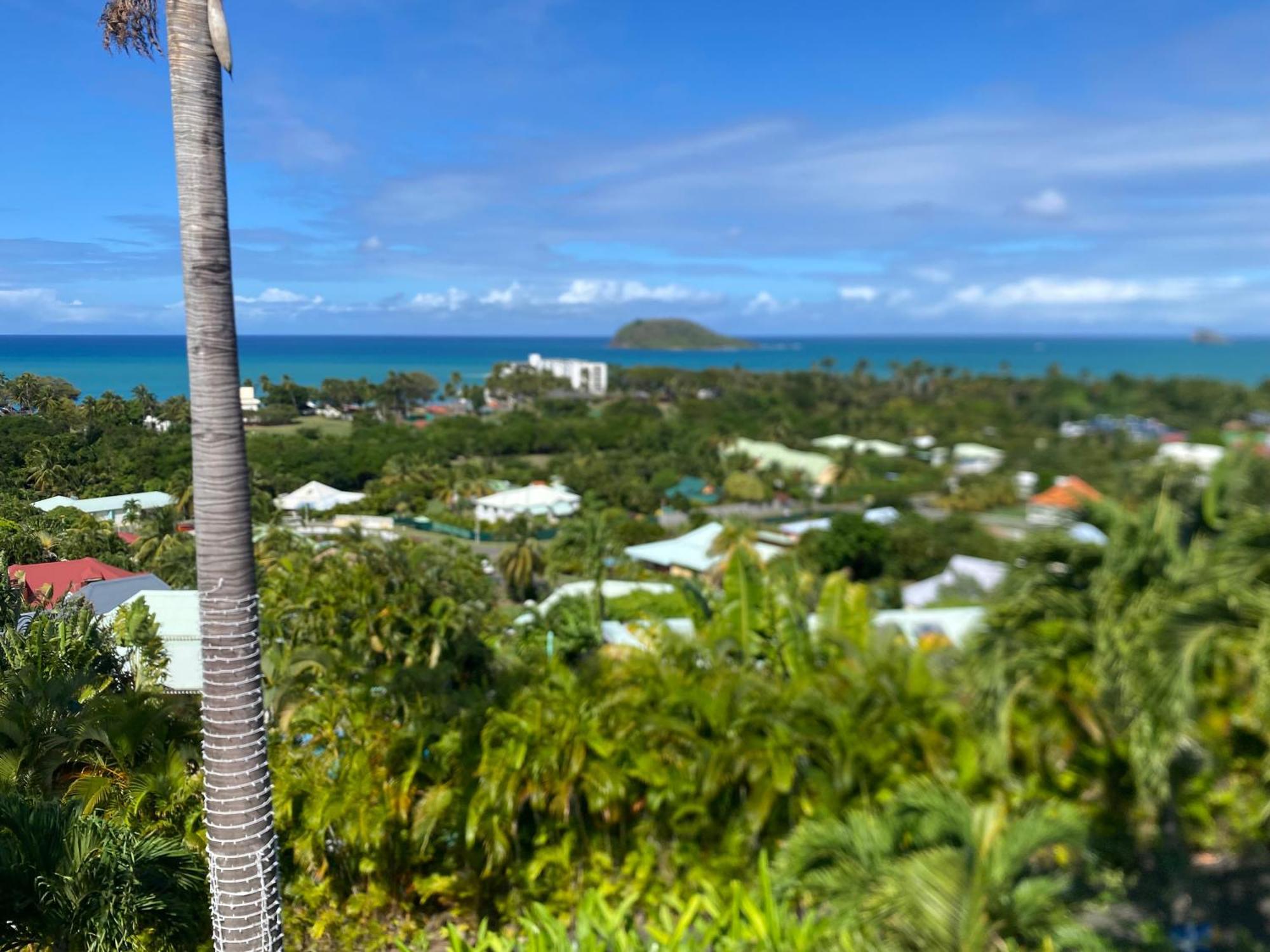 Residence Caraibes Bonheur Deshaies Extérieur photo