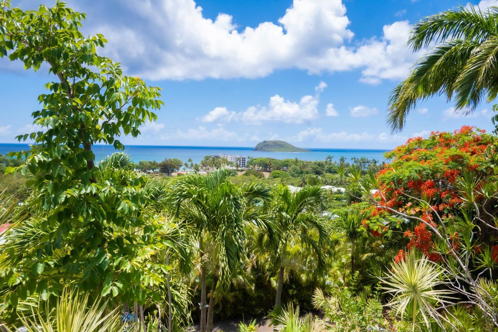 Residence Caraibes Bonheur Deshaies Extérieur photo