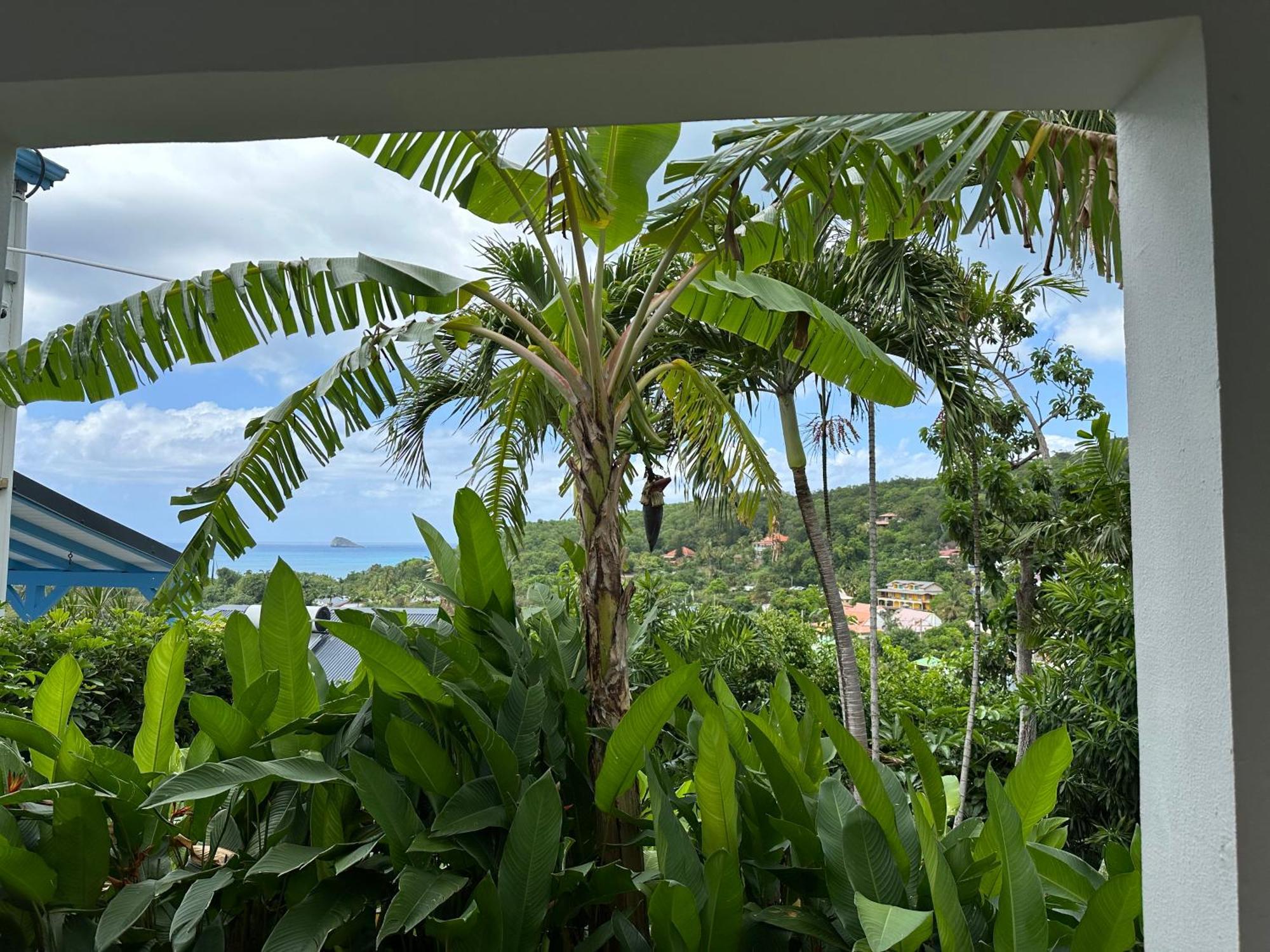 Residence Caraibes Bonheur Deshaies Extérieur photo