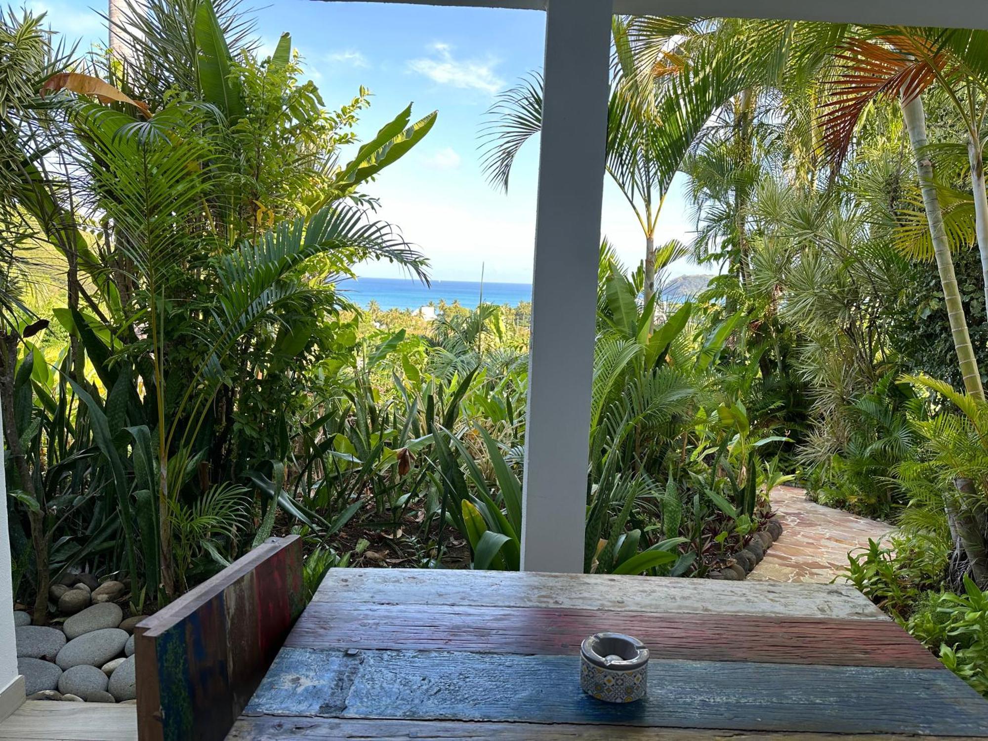Residence Caraibes Bonheur Deshaies Extérieur photo