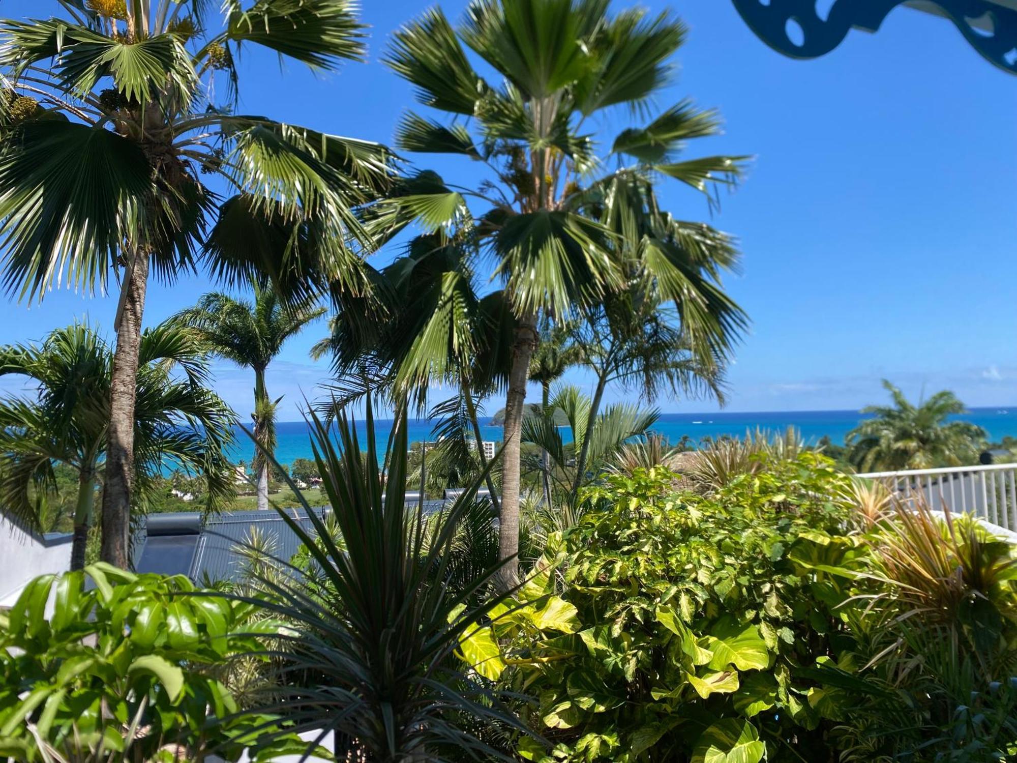 Residence Caraibes Bonheur Deshaies Extérieur photo