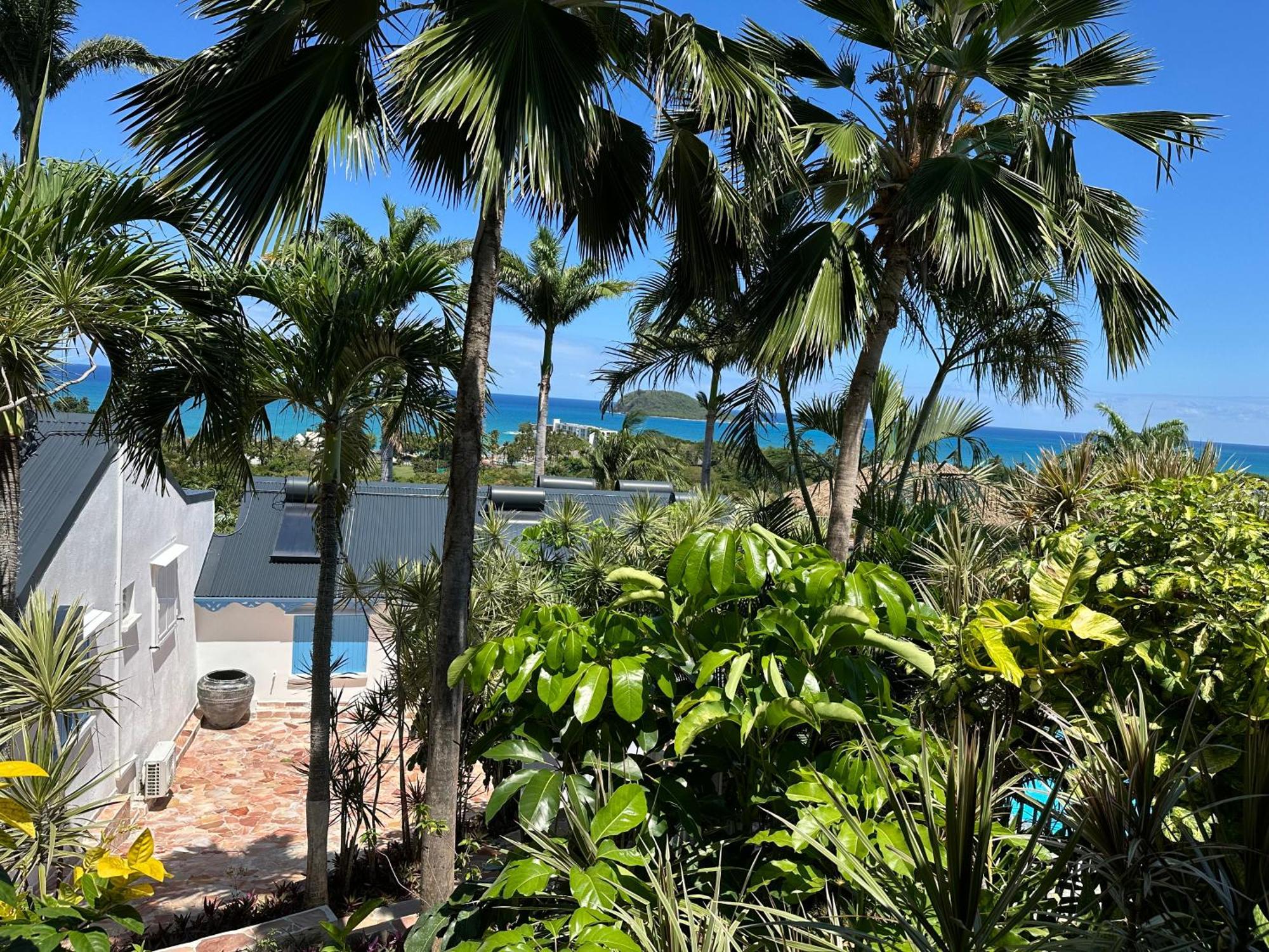 Residence Caraibes Bonheur Deshaies Extérieur photo